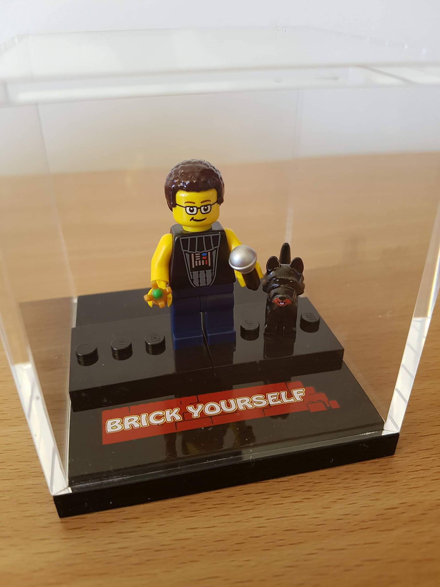 Brick Yourself Collector S Display Case Make A Great Gift Sensational